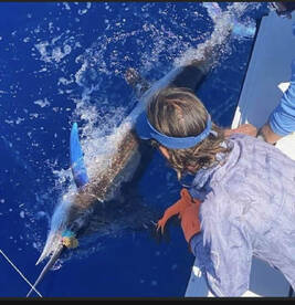 Key West Report Photo 2