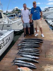 13 barracudas and 1 snapper