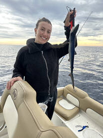 Coronado Report Photo 4