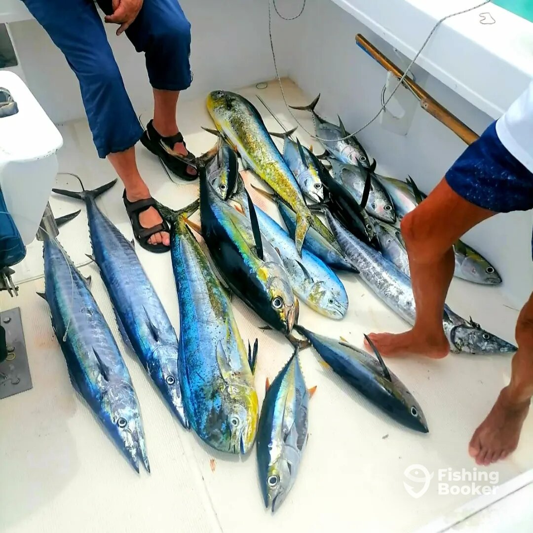 Le Morne Report Photo 0