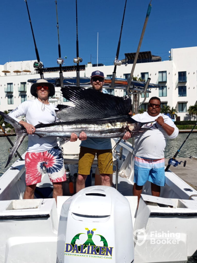 San Jose del Cabo Report Photo 0