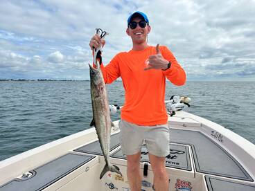 Sarasota Report Photo 2