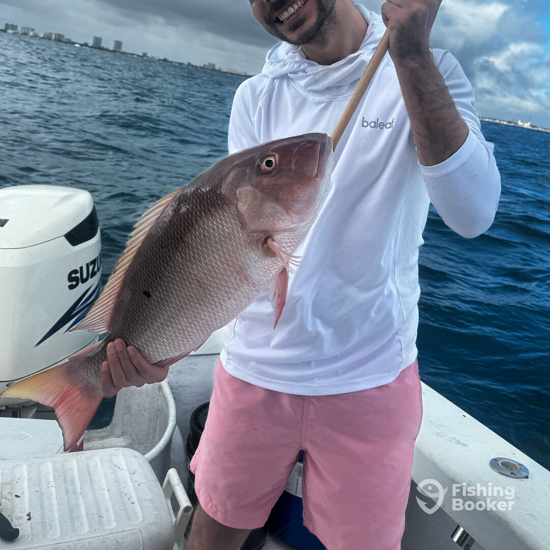 Dania Beach Report Photo 0