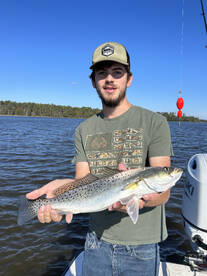 Beaufort Report Photo 2