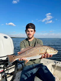 Beaufort Report Photo 1