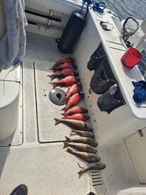 Awesome half day sheephead and whitefish