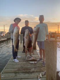 Galveston Report Photo 1
