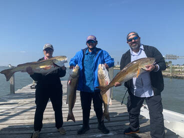 Galveston Report Photo 2