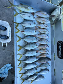 Islamorada Report Photo 2
