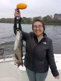 San Antonio Report Photo 1