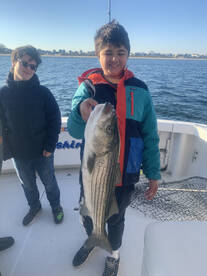 New York City Report Photo 1