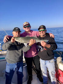 Moncks Corner Report Photo 1