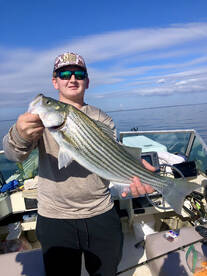 November Lake Moultrie