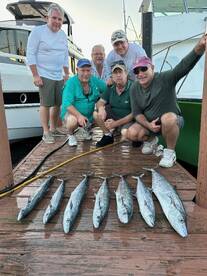 Dania Beach Report Photo 2