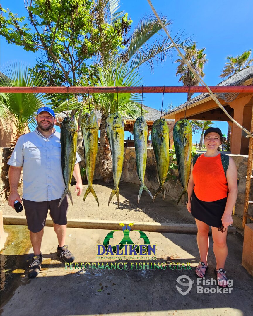 San Jose del Cabo Report Photo 0