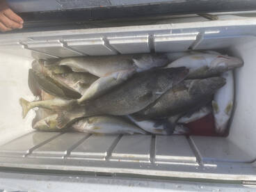 Oak Harbor Report Photo 1