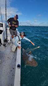 November Half Day Patch Reef fishing in 