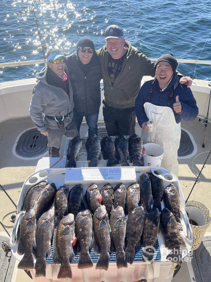 Montauk Report Photo 0