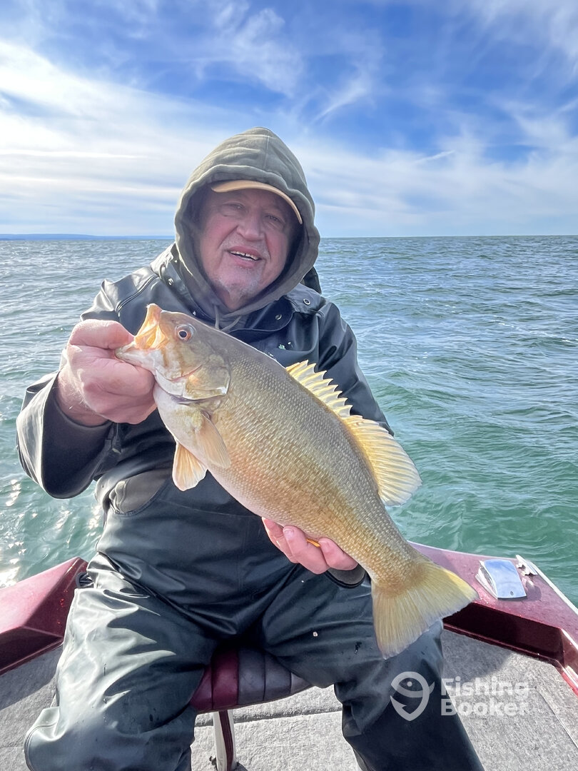 Buffalo Report Photo 0