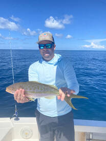Yellowtail Snapper