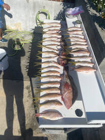 Key West Report Photo 2