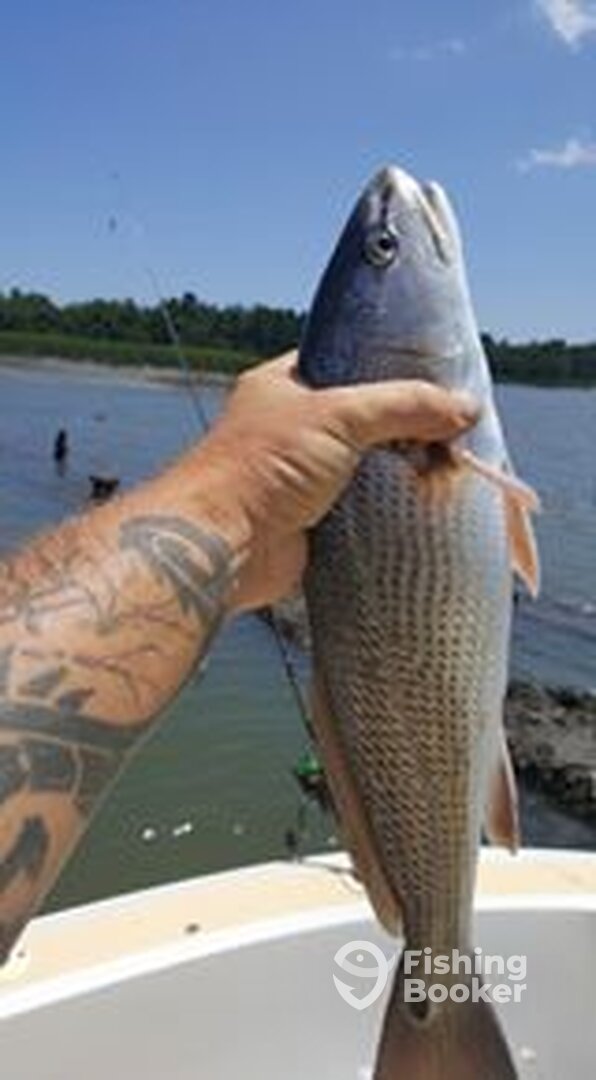 Folly Beach Report Photo 0