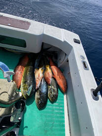 Herradura Report Photo 1