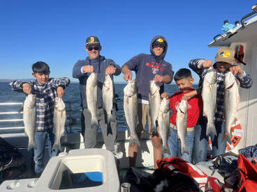 San Francisco Report Photo 2