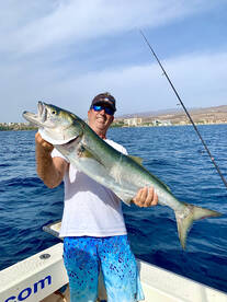Bluefish are hot!! ?