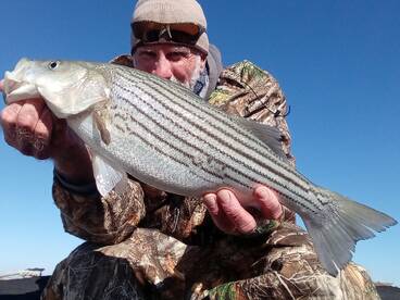 Chincoteague Report Photo 1