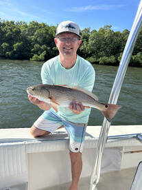 Sarasota Report Photo 1