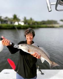 Sarasota Report Photo 2