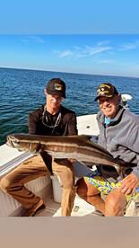 Sarasota Report Photo 1