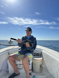 Sarasota Report Photo 2