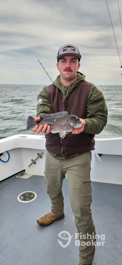 Norfolk Report Photo 0
