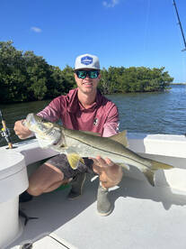 The bite has been great! 