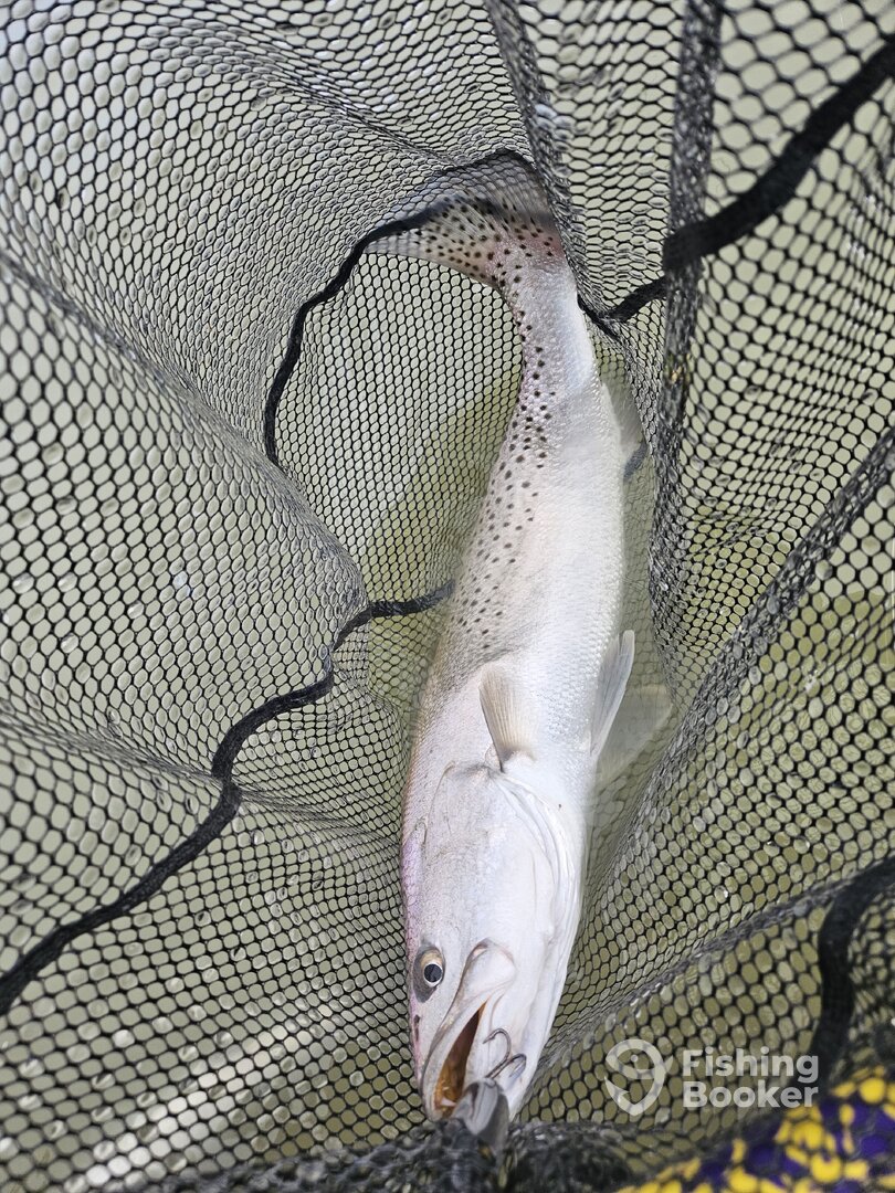 Aransas Pass Report Photo 0