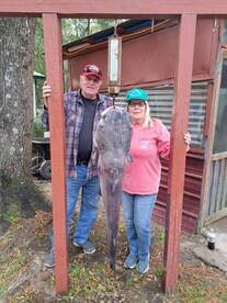 Santee Report Photo 1