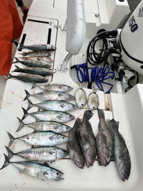 Carolina Beach Report Photo 1