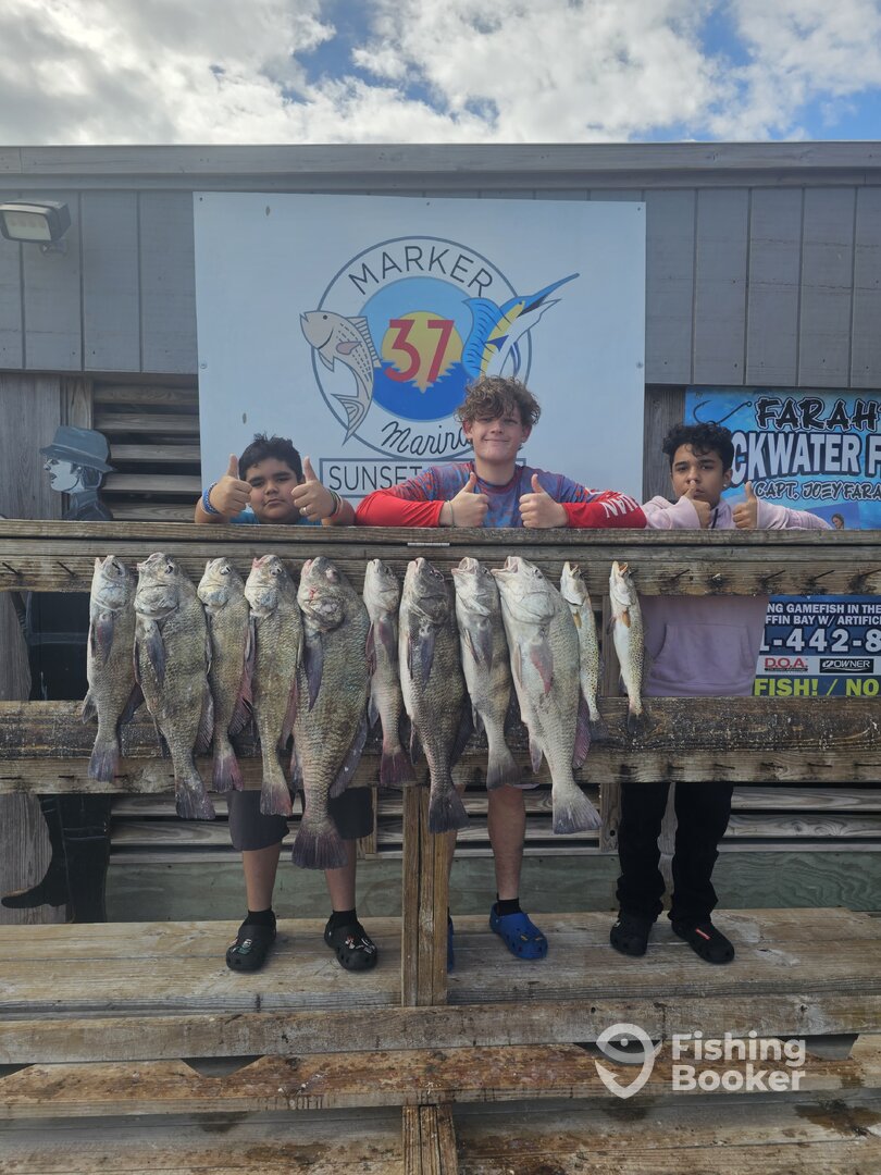 Corpus Christi Report Photo 0