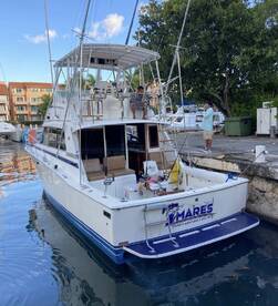 Puerto Aventuras Report Photo 2