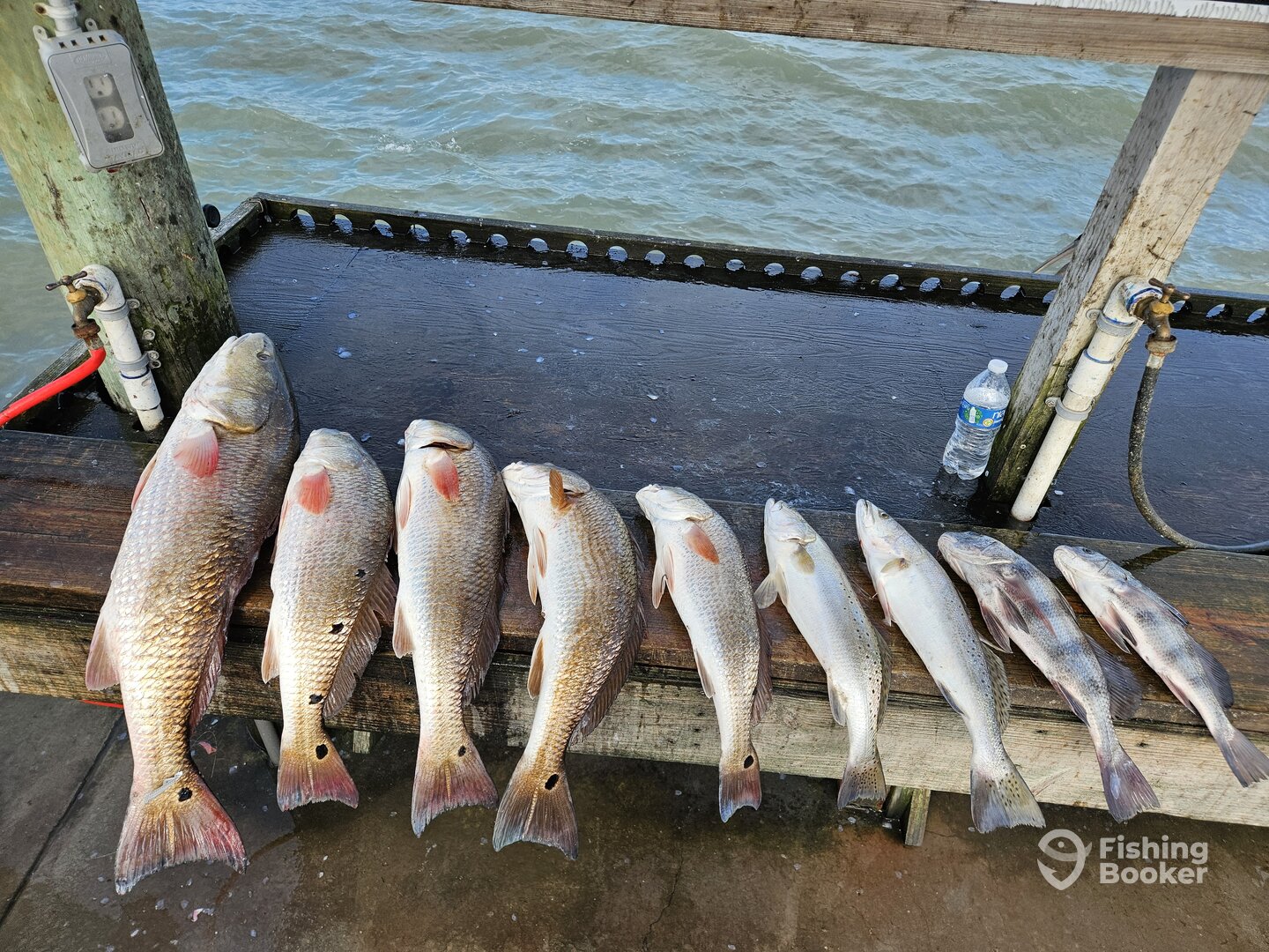 Aransas Pass Report Photo 0