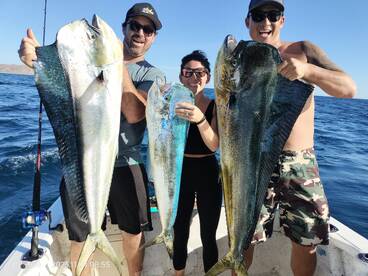 Start of winter and with action 