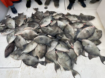 Carolina Beach Report Photo 2