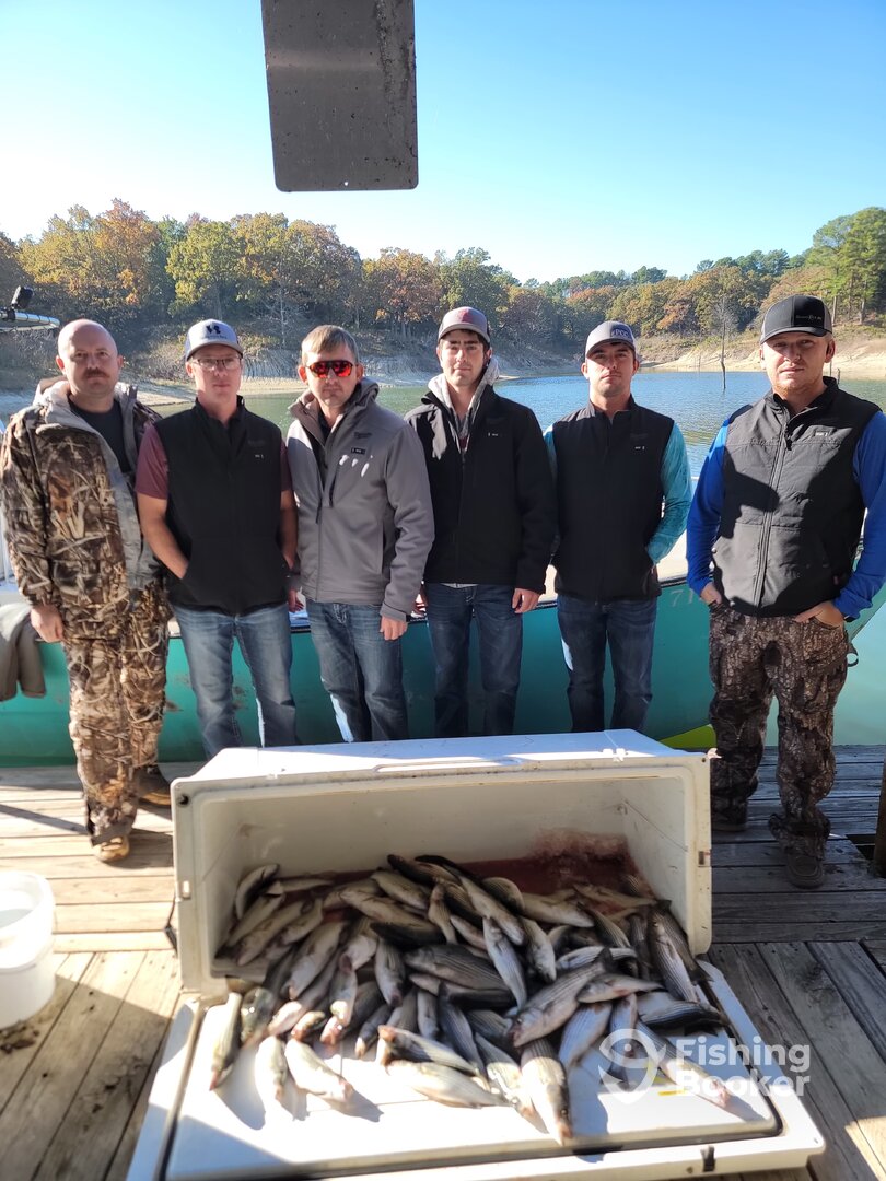 Pottsboro Report Photo 0