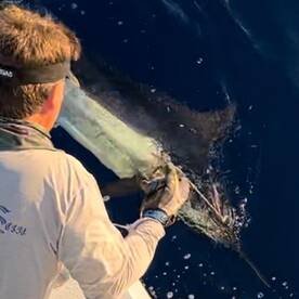 Another great day with Tropical Sun Spor