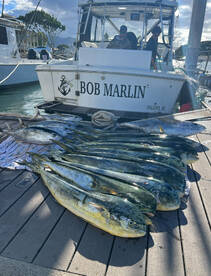 epic mahimahi fishing