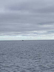 Nanaimo Report Photo 1