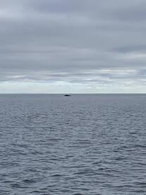 Winter fishing at its finest 