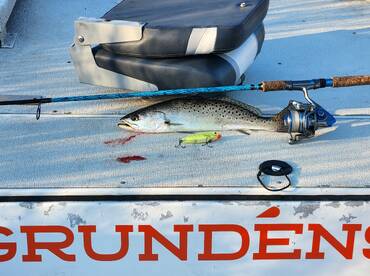 Hubert Report Photo 1